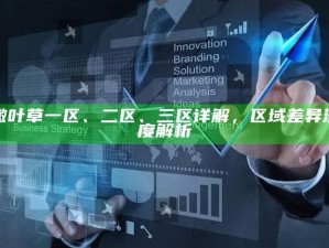 嫩叶草一区、二区、三区详解，区域差异深度解析