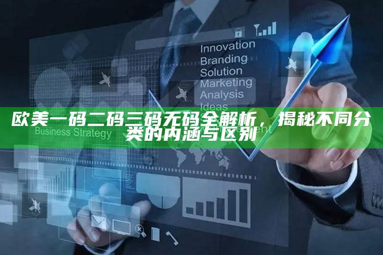 欧美一码二码三码无码全解析，揭秘不同分类的内涵与区别