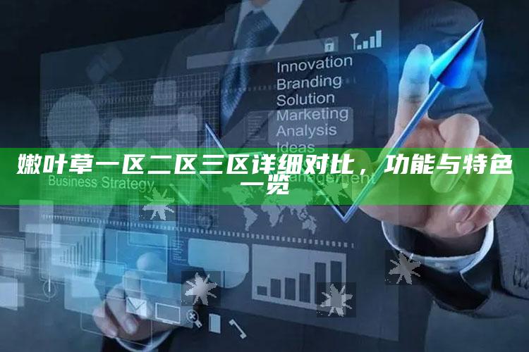 嫩叶草一区二区三区详细对比，功能与特色一览