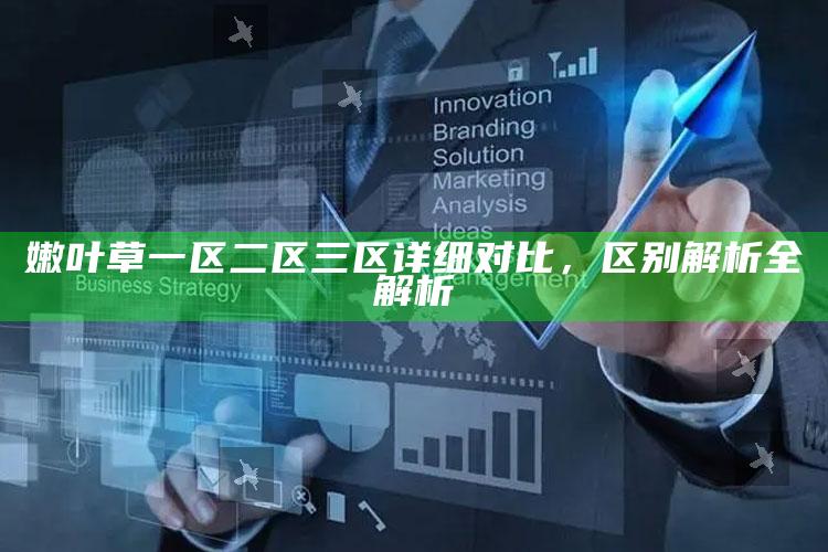 嫩叶草一区二区三区详细对比，区别解析全解析