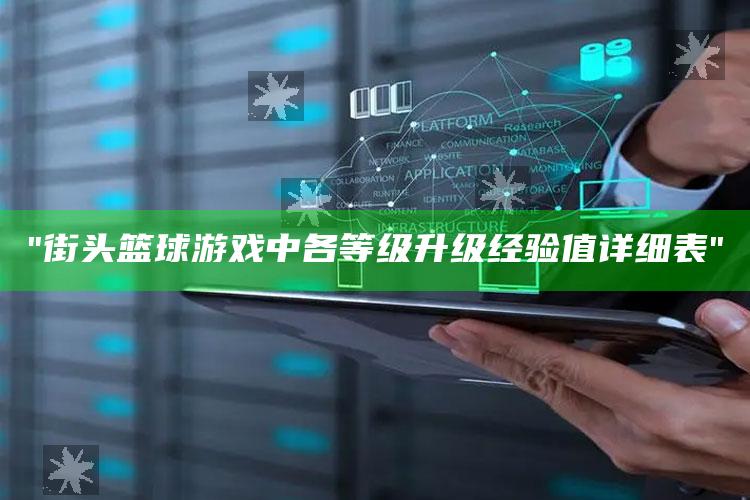 "街头篮球游戏中各等级升级经验值详细表"