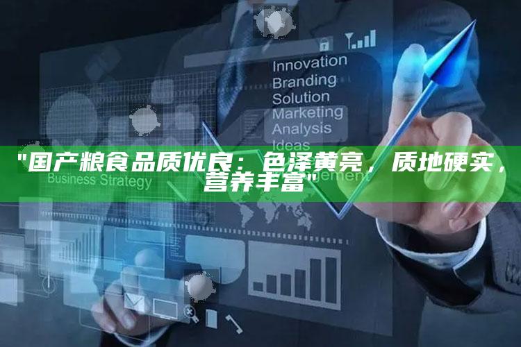 "国产粮食品质优良：色泽黄亮，质地硬实，营养丰富"