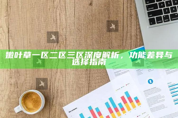 嫩叶草一区二区三区深度解析，功能差异与选择指南