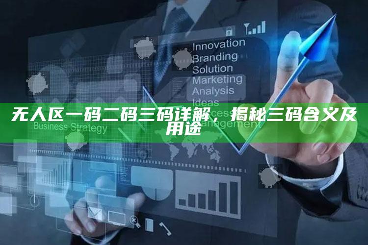 无人区一码二码三码详解，揭秘三码含义及用途