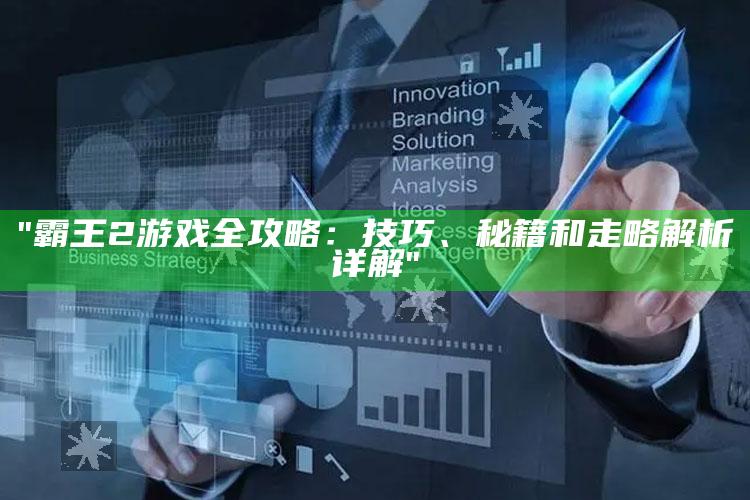 "霸王2游戏全攻略：技巧、秘籍和走略解析详解"